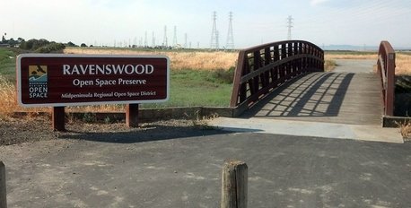 Ravenswood Preserve