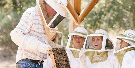 Beekeeping & Honey Tasting