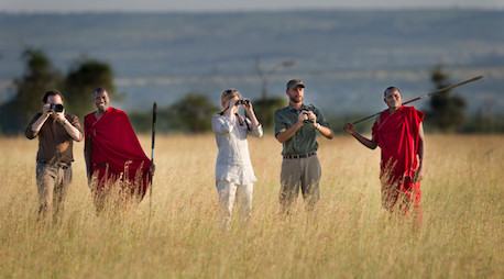 A Walk in the Wild Serengeti
