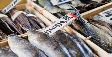 Tsukiji Fish Market 