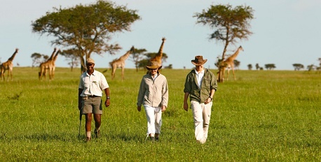 Guided Safari Walks