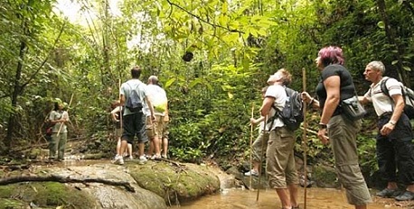 Jungle Trekking & Waterfall Picnic