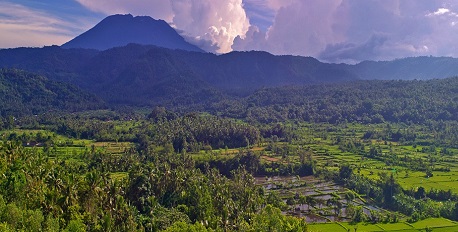 Wilderness of the Ayung Valley