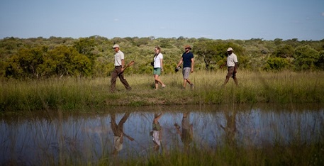 Safari walks