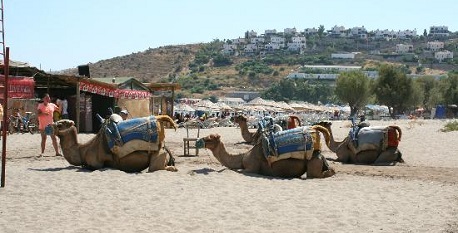Camel Beach