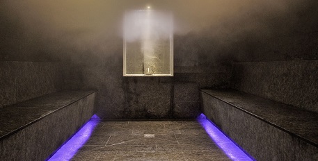 Sauna/Steam Bath