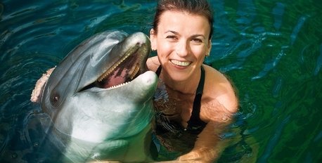 Underwater World & Dolphin Tour