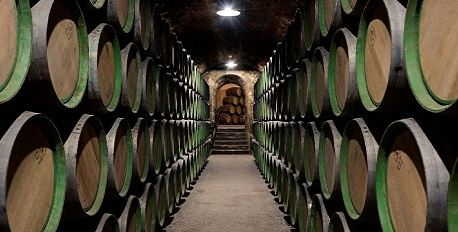Marques de Riscal Winery 