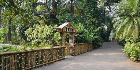 Indian Botanical Garden