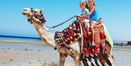 Camel Cart Ride