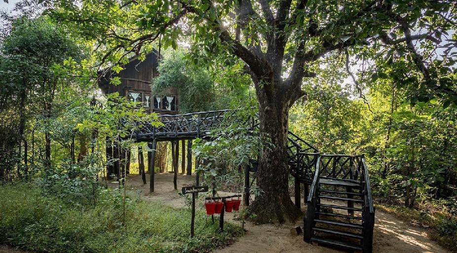 Pugdundee Safaris - Tree House Hideaway