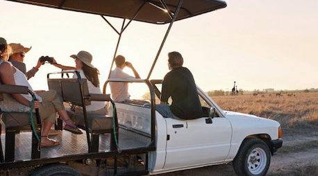 Villiera Wine and Game Drive