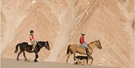 Atacama on Horseback 