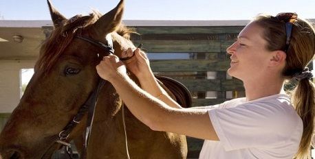 Gaela Hourcq, Horse Expert