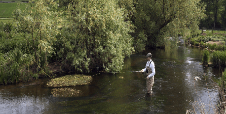 Fishing on the Estate