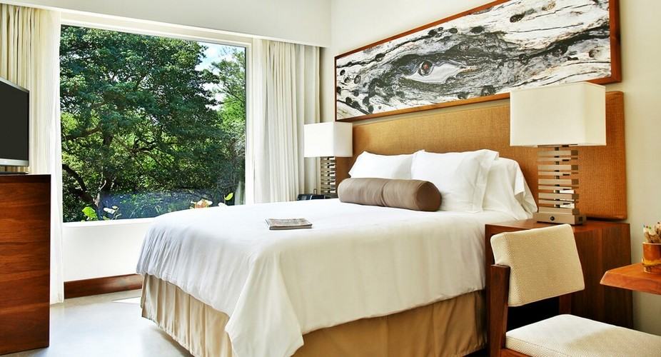 Suite, 1 King Bed, Resort View (Bark)