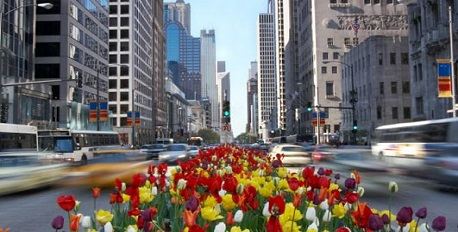 Magnificent Mile Shopping