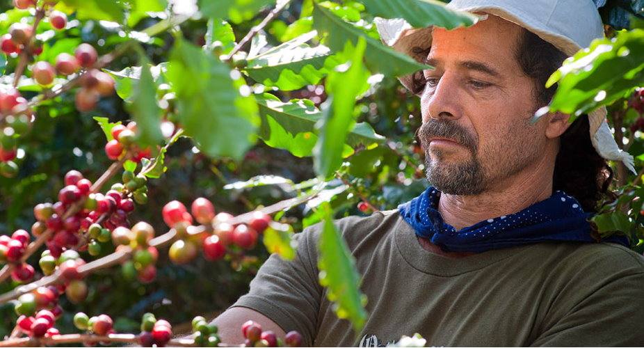Organic Shade Grown Coffee