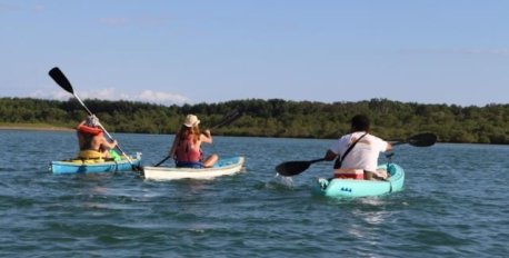 Sea and Mangrove Kayak Tour