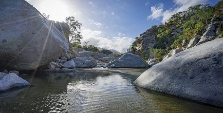 Secrets of Baja's Sierra