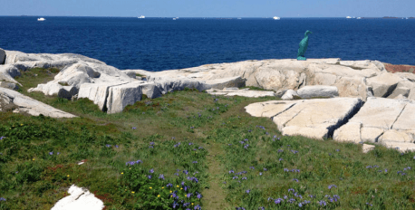 Hike to Great Auk Sculpture