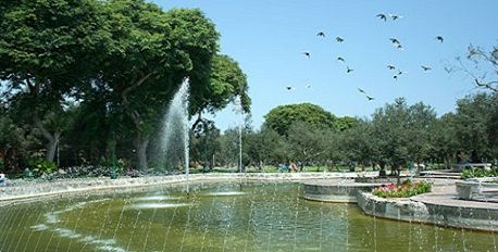 El Olivar Park