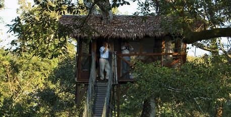 Inkaterra Canopy Tree House