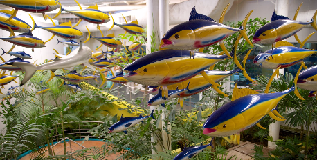 Aquarium of Veracruz