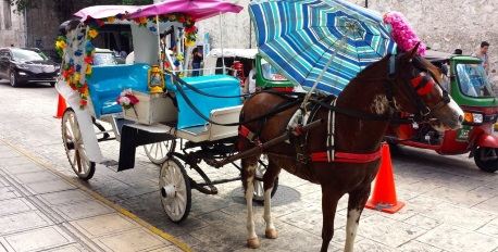 Explore Merida by Horse and Carriage