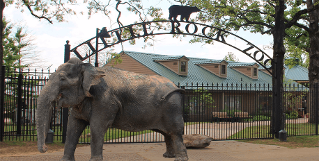 The Little Rock Zoo