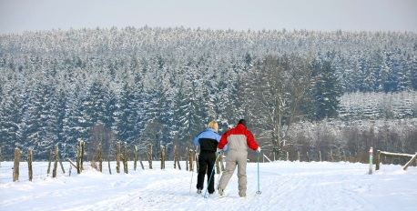Skiing and Cross Country Skiing