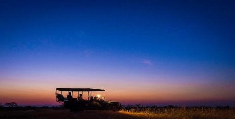 Nocturnal Game Drives