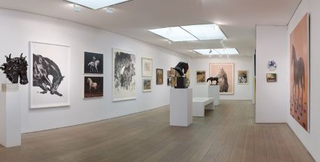 Equus Gallery