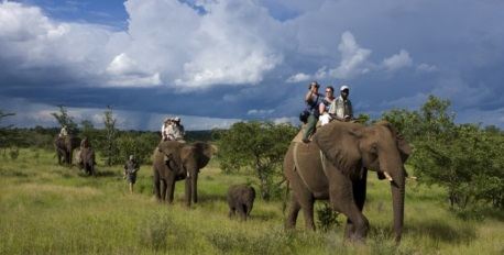Addo Elephant Park Back Safari 