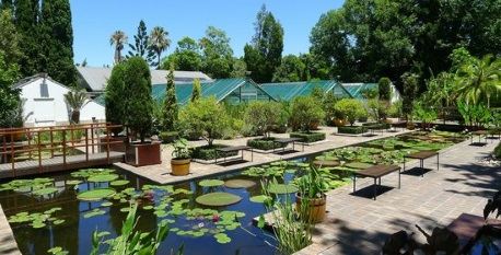University Botanical Garden