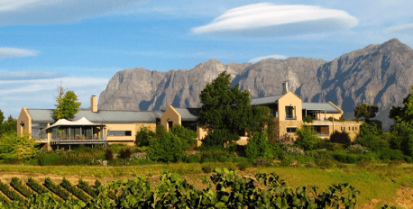 Wine Estate Visits