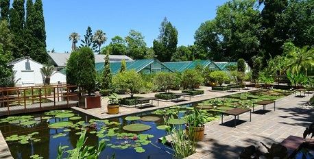 Stellenbosch University Botanical Garden