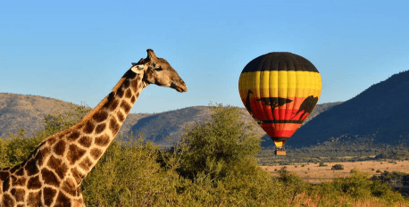 Balloon Safaris Hoedspruit
