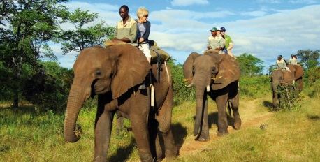 Elephant-Back Ride
