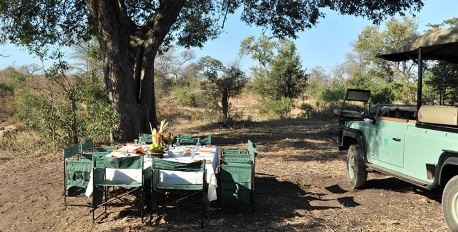 Conferencing in the Bush