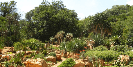 Lowveld Botanical Gardens
