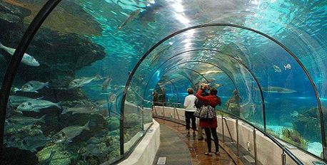Aquarium De Lyon