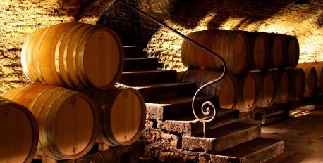 Visits of Wine Cellars