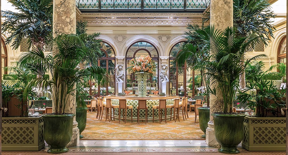 The Palm Court