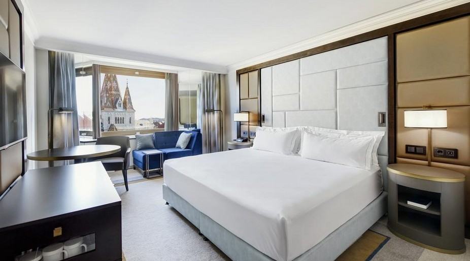 Superior Room, 1 King Bed (Danube River View) 