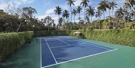 Tennis and Badminton Courts