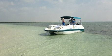 Dolphin Bay Eco Boat Tour