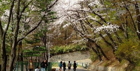 Namsan Park 