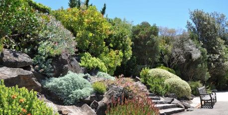 The Blue Mountains Botanic Garden, Mount Tomah