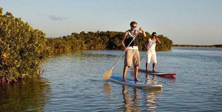 Stand-up Paddleboarding and Kayak Safari